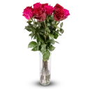 Kytice ekvádorských růží 80 cm